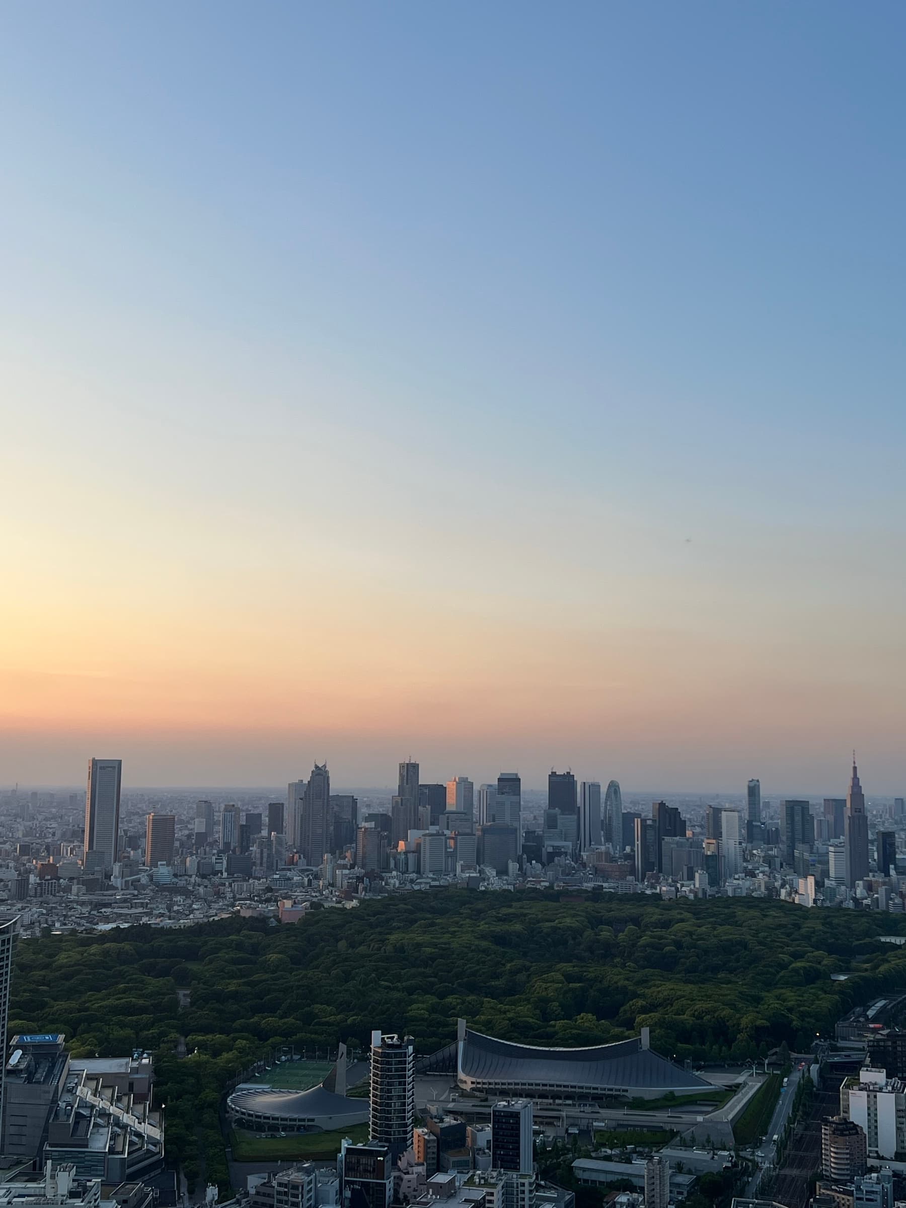 Tokyo skyline at dusk over the trees of Yoyogi Park